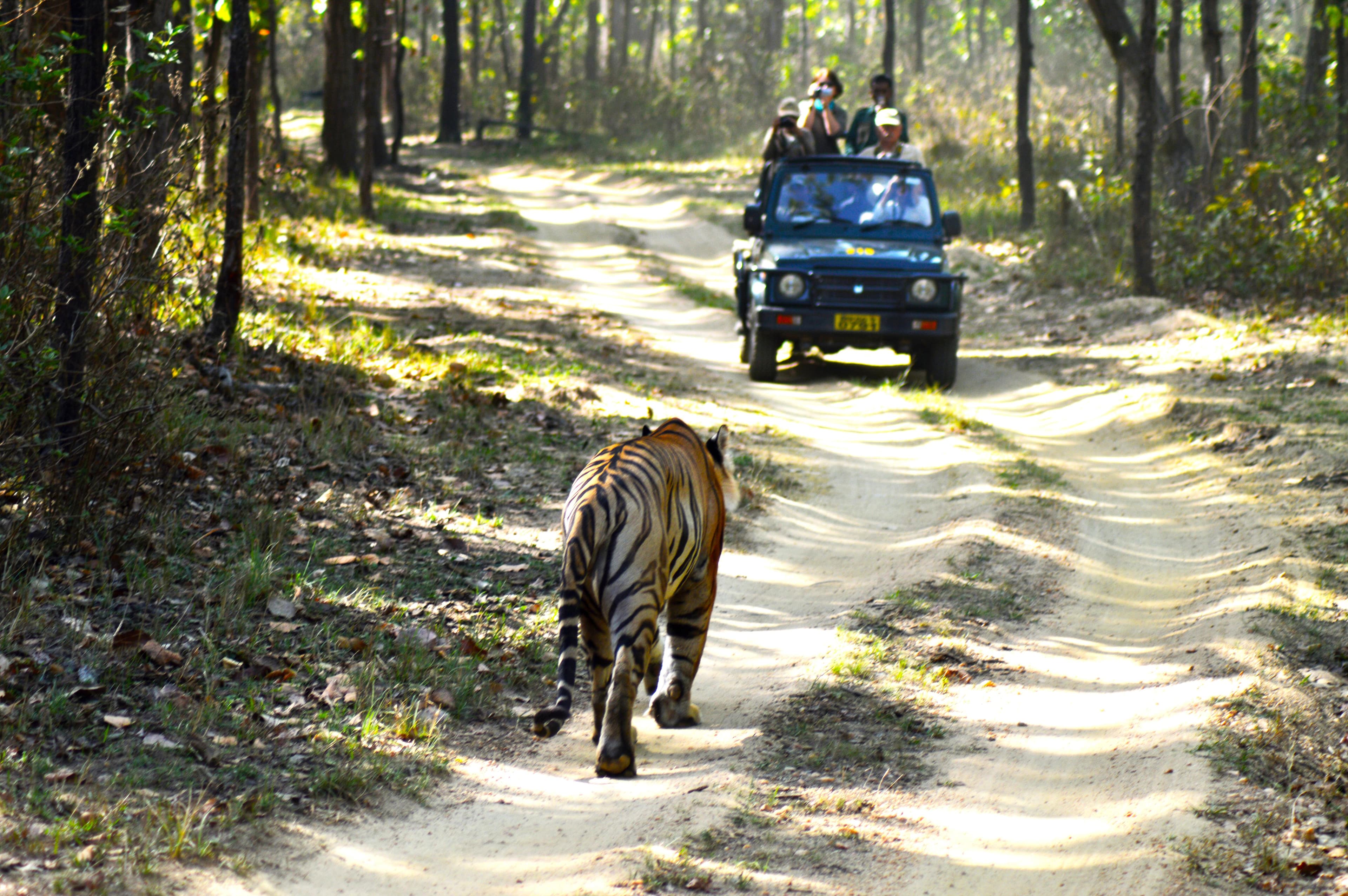 Jabalpur – National Park Tour